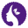 curlsdynasty.com